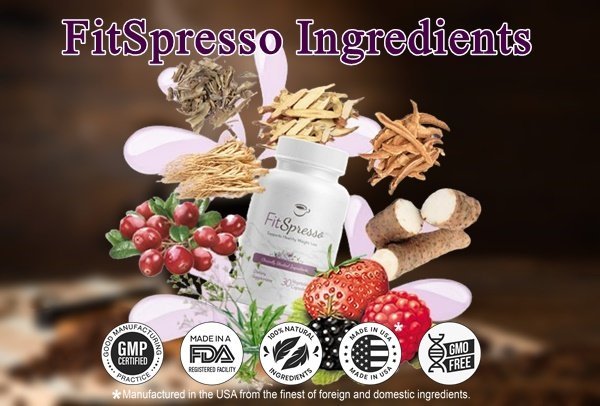 Fitspresso Ingredients